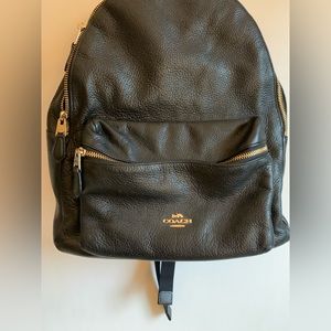 Leather Coach Backpack
